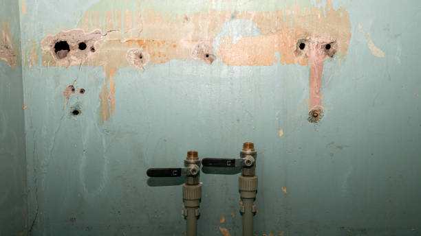 Best Carpet water damage restoration  in Simonton Lake, IN