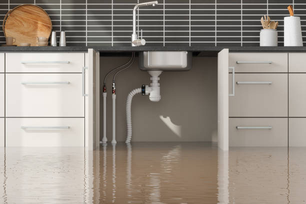 Trusted IN Water damage restoration Experts